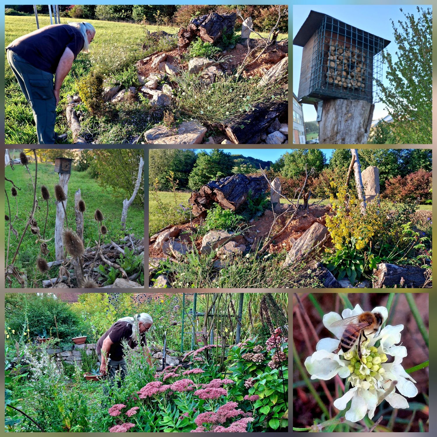 Bienendidi_Bienenhaus